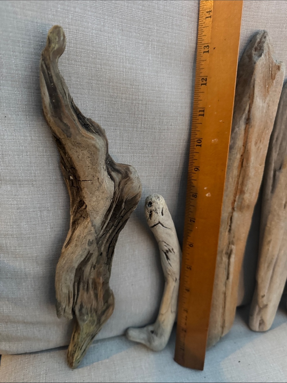 Natural Pacific Northwest Collected Beach Driftwood Decorative Accents 15 pcs - Picture 10 of 12